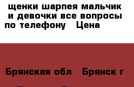 щенки шарпея мальчик и девочки.все вопросы по телефону › Цена ­ 10 000 - Брянская обл., Брянск г. Другое » Продам   . Брянская обл.,Брянск г.